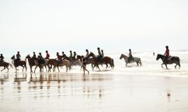 Balade à cheval sur la plage