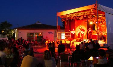 Concert au camping Les Sables du Midi